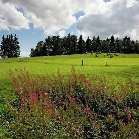 Modern In Balen With Garden
